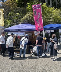 めだか